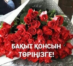 Профиль