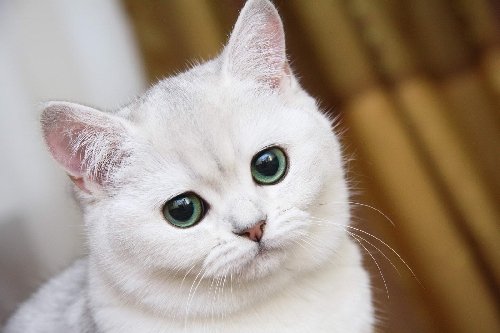 Профиль