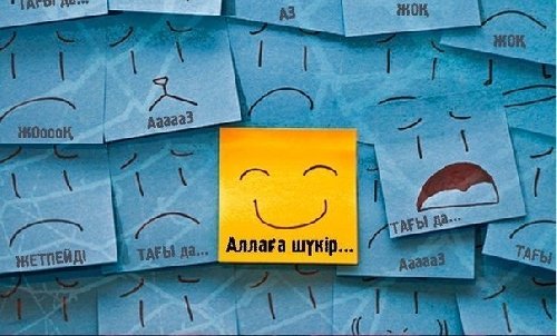 Профиль