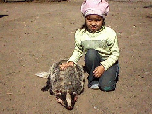 Профиль