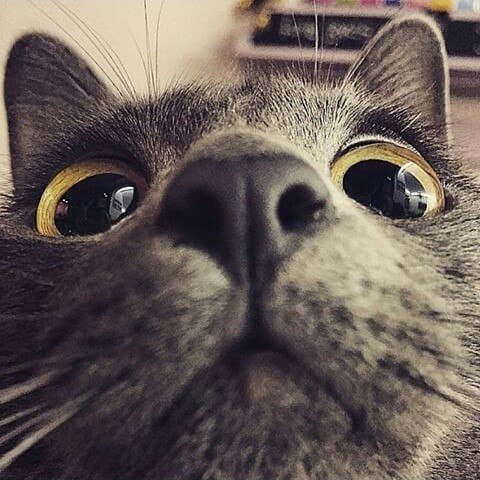 Профиль