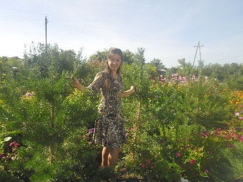 Профиль