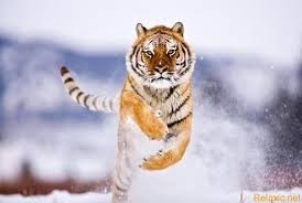 Профиль