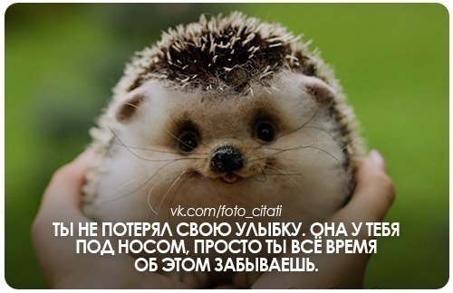 Профиль