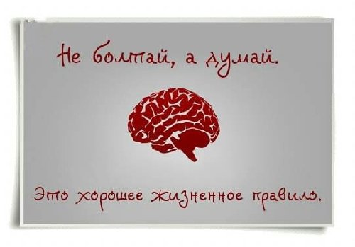 Профиль