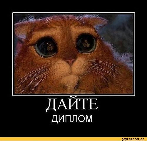 Профиль