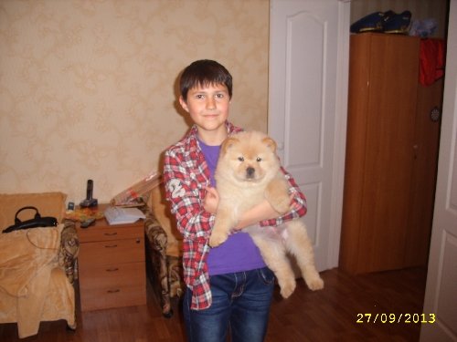 Профиль