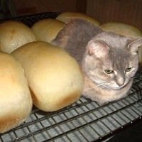 Профиль