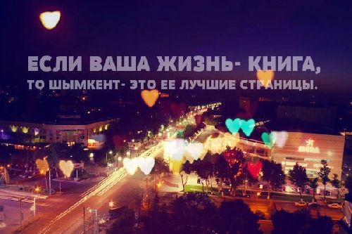 Профиль