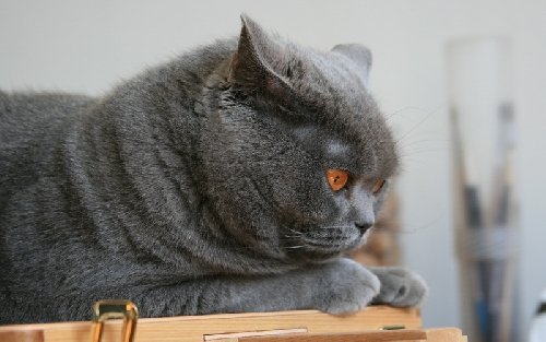 Профиль