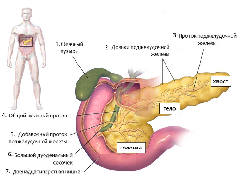 Профиль