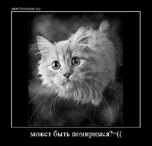 Профиль