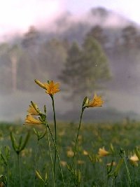 Профиль