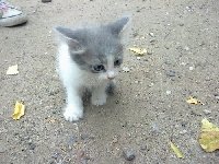 Профиль
