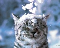 Профиль