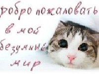 Профиль