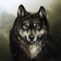Профиль