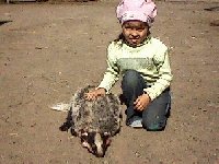 Профиль