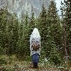 Профиль