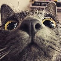 Профиль