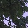 Профиль