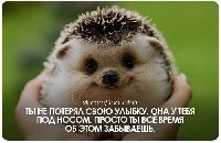 Профиль
