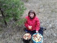 Профиль