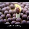Профиль