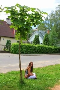 Профиль