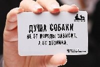 Профиль