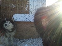 Профиль