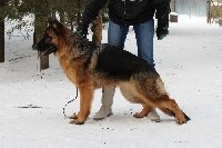 Профиль