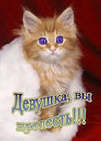 Профиль