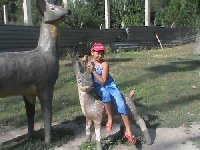 Профиль