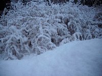 Профиль