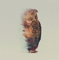 Профиль