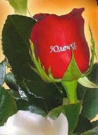 Профиль