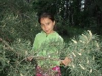 Профиль
